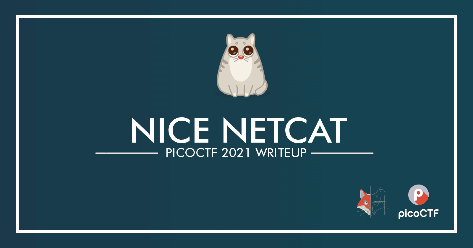 06. Nice netcat... - PicoCTF 2021 Writeup